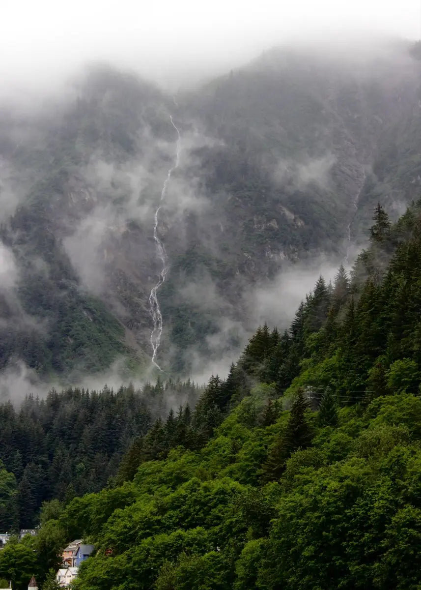 Tableau Forêt Automnale Brumeuse