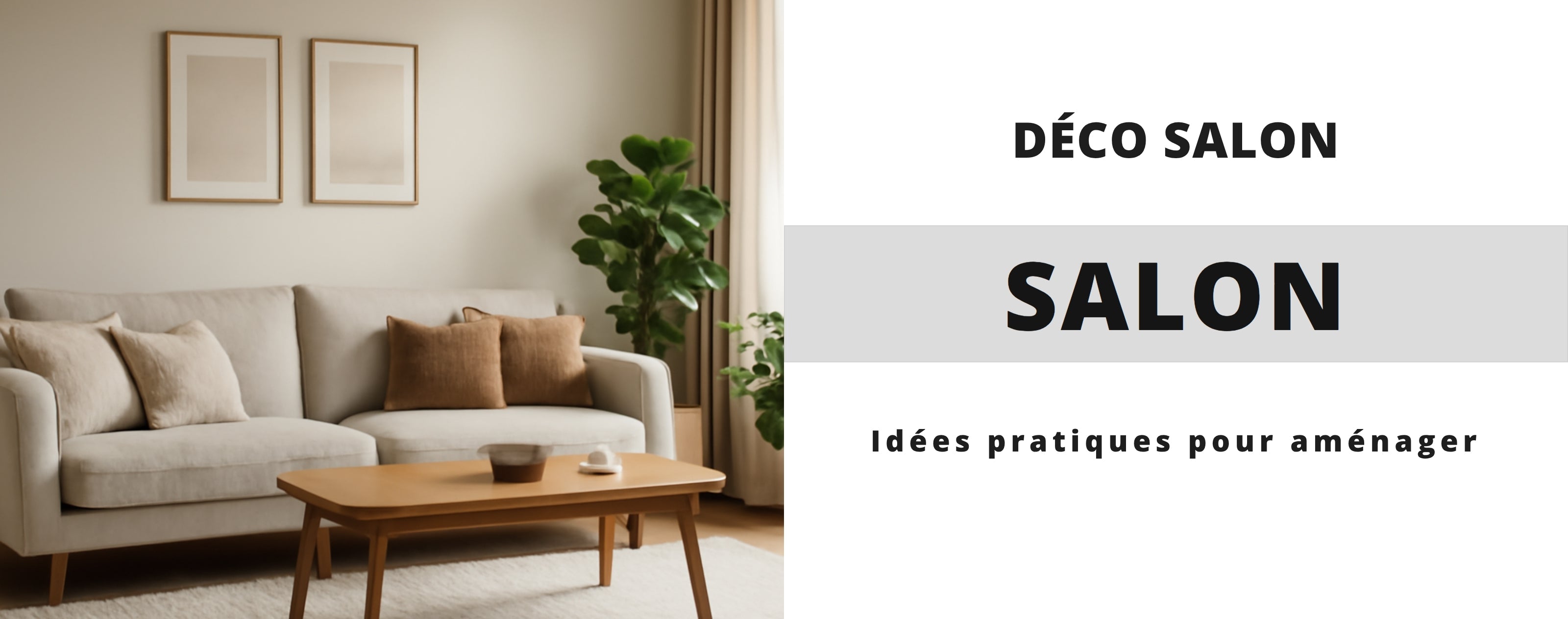 Comment Décorer son Salon ? Image