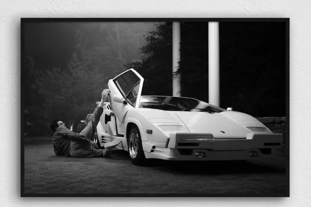 Tableau Loup de Wall Street