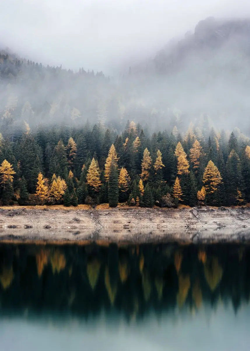 Tableau Forêt Automnale Brumeuse