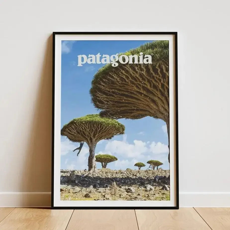Tableau Montagne Patagonia