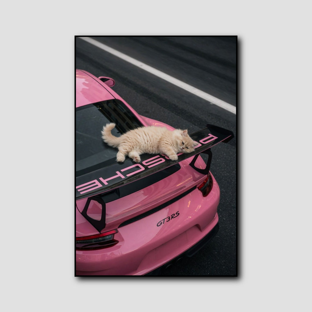 Affiche Chat Porsche Rose style 1