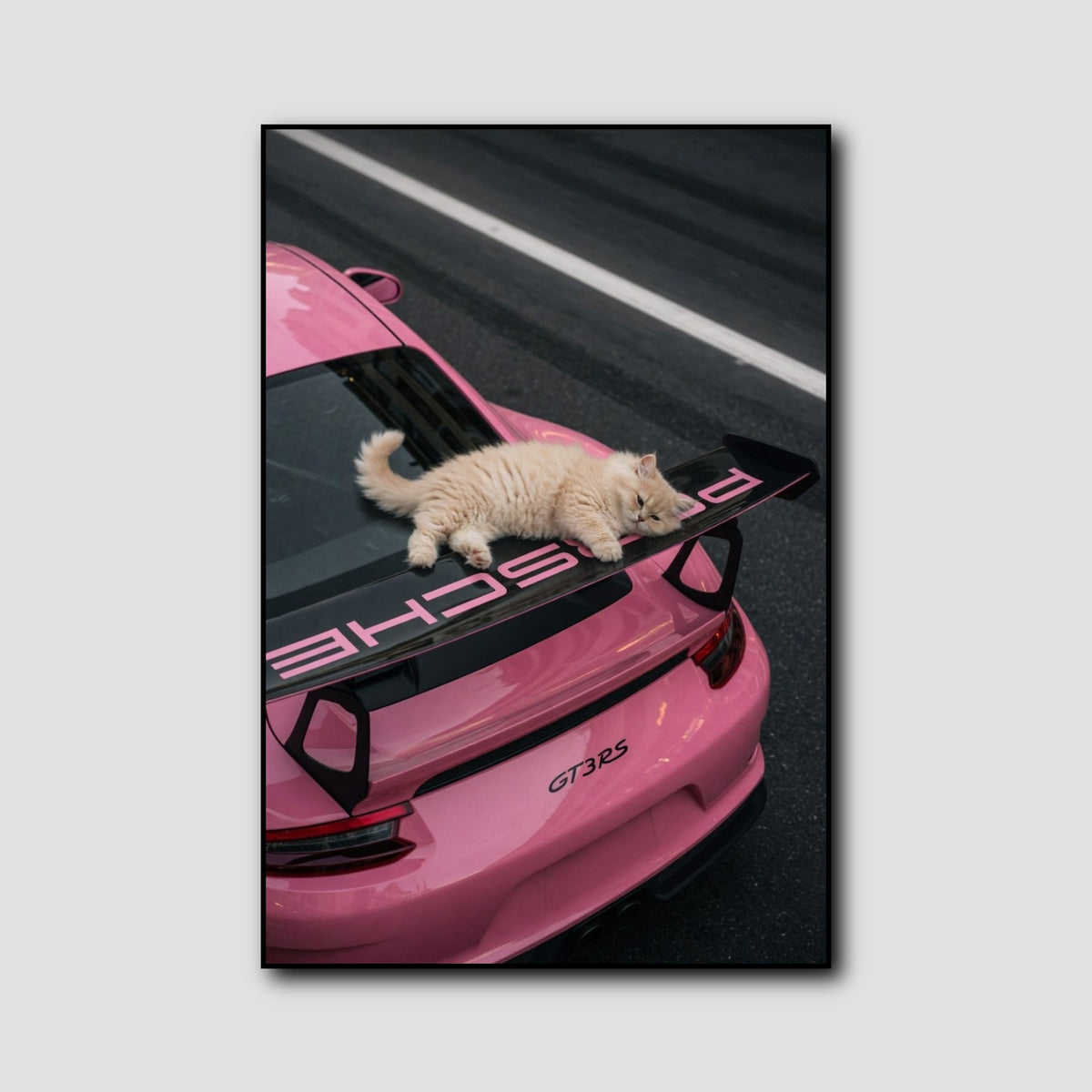 Affiche Chat Porsche Rose style 1