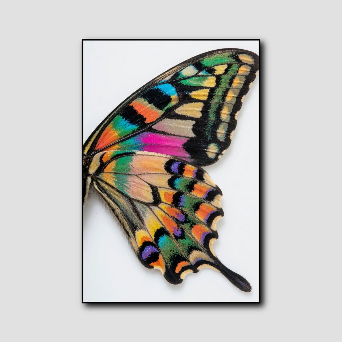 Tableau Aile de Papillon style 1