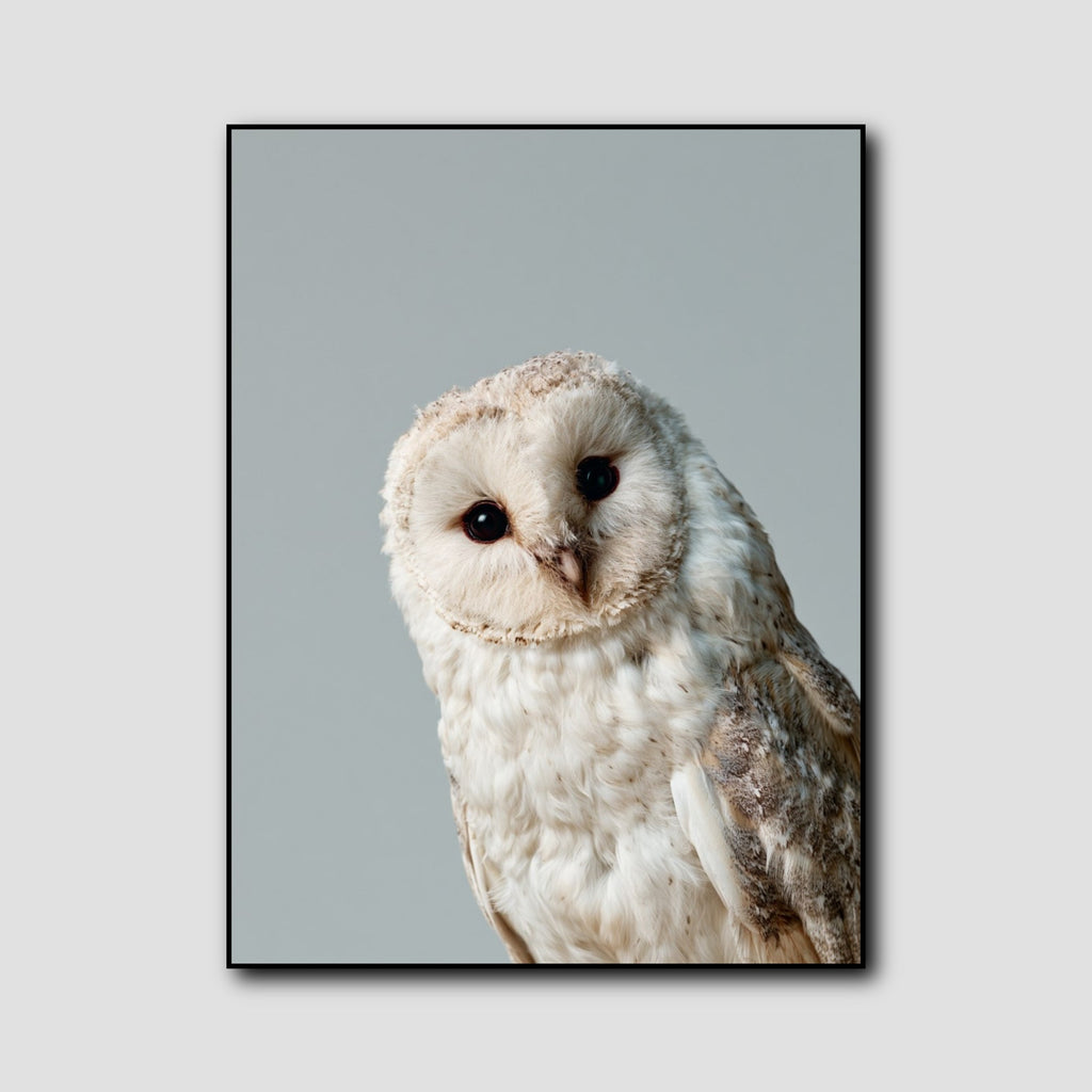 Tableau Chouette Blanche style 1