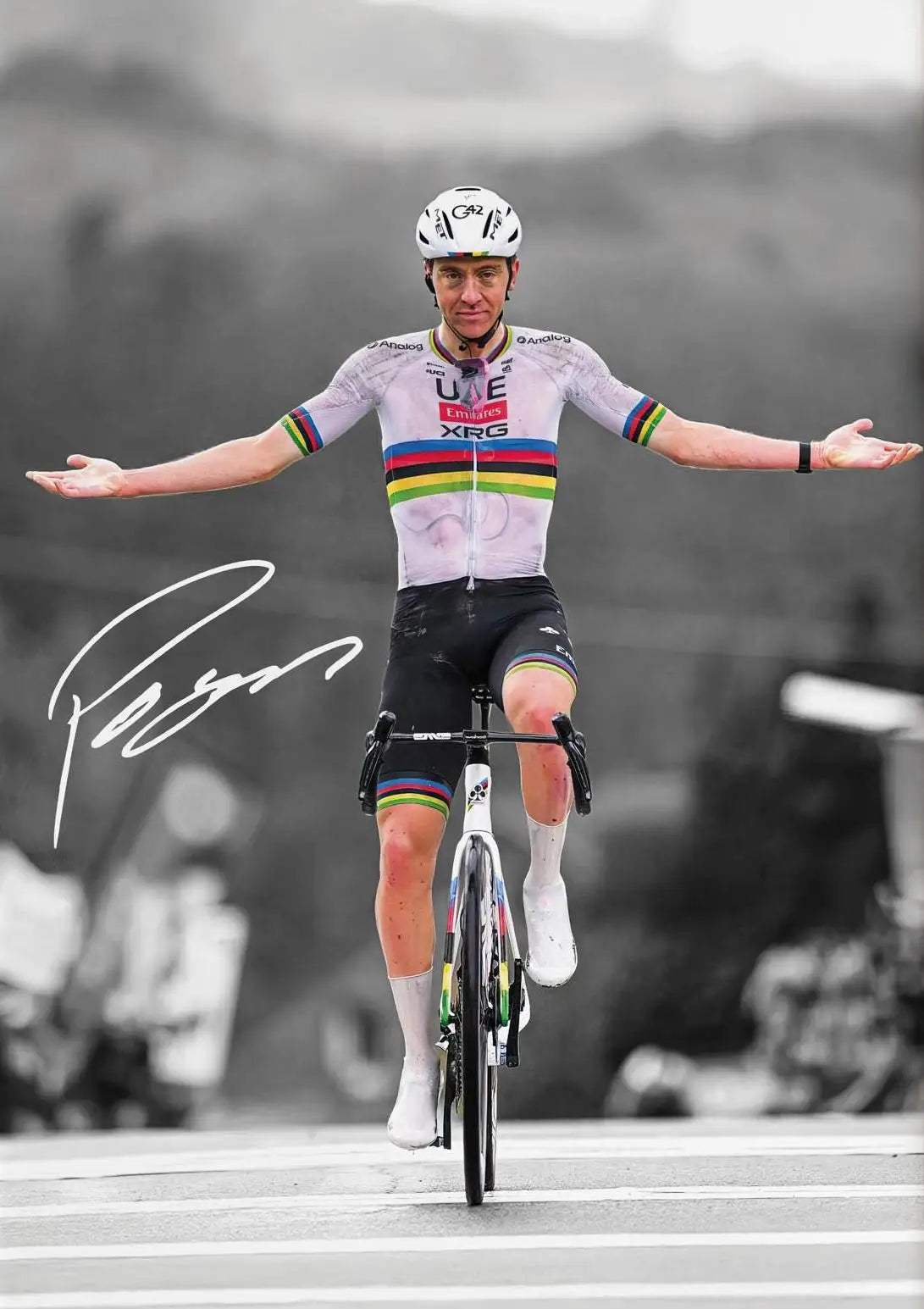 Tableau Cycliste Victoire style 1