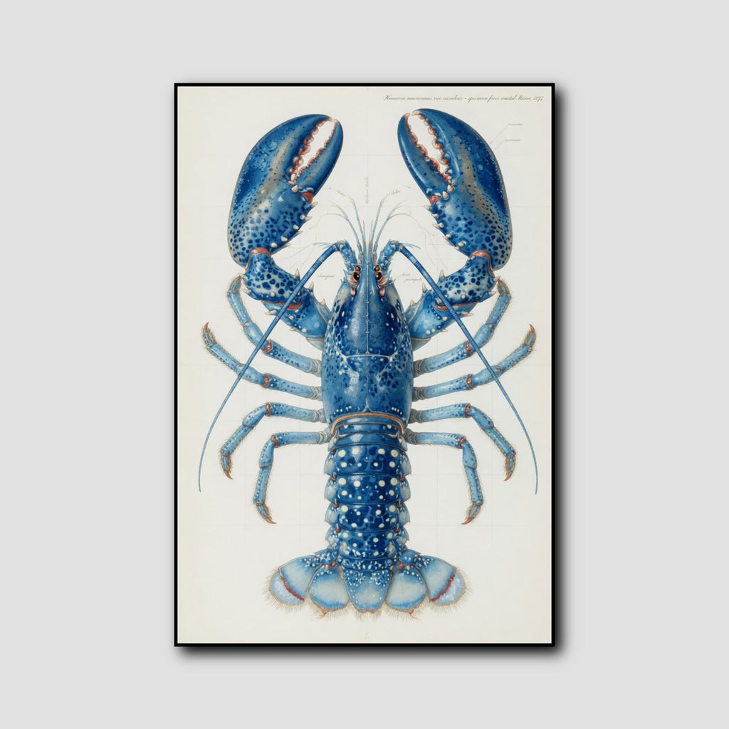 Tableau Homard style 1