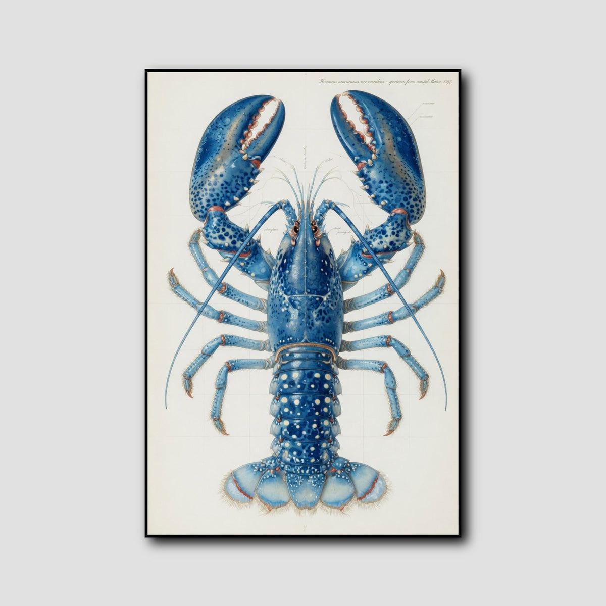 Tableau Homard style 1