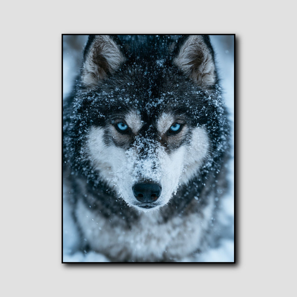 Tableau Husky Yeux Bleus style 1