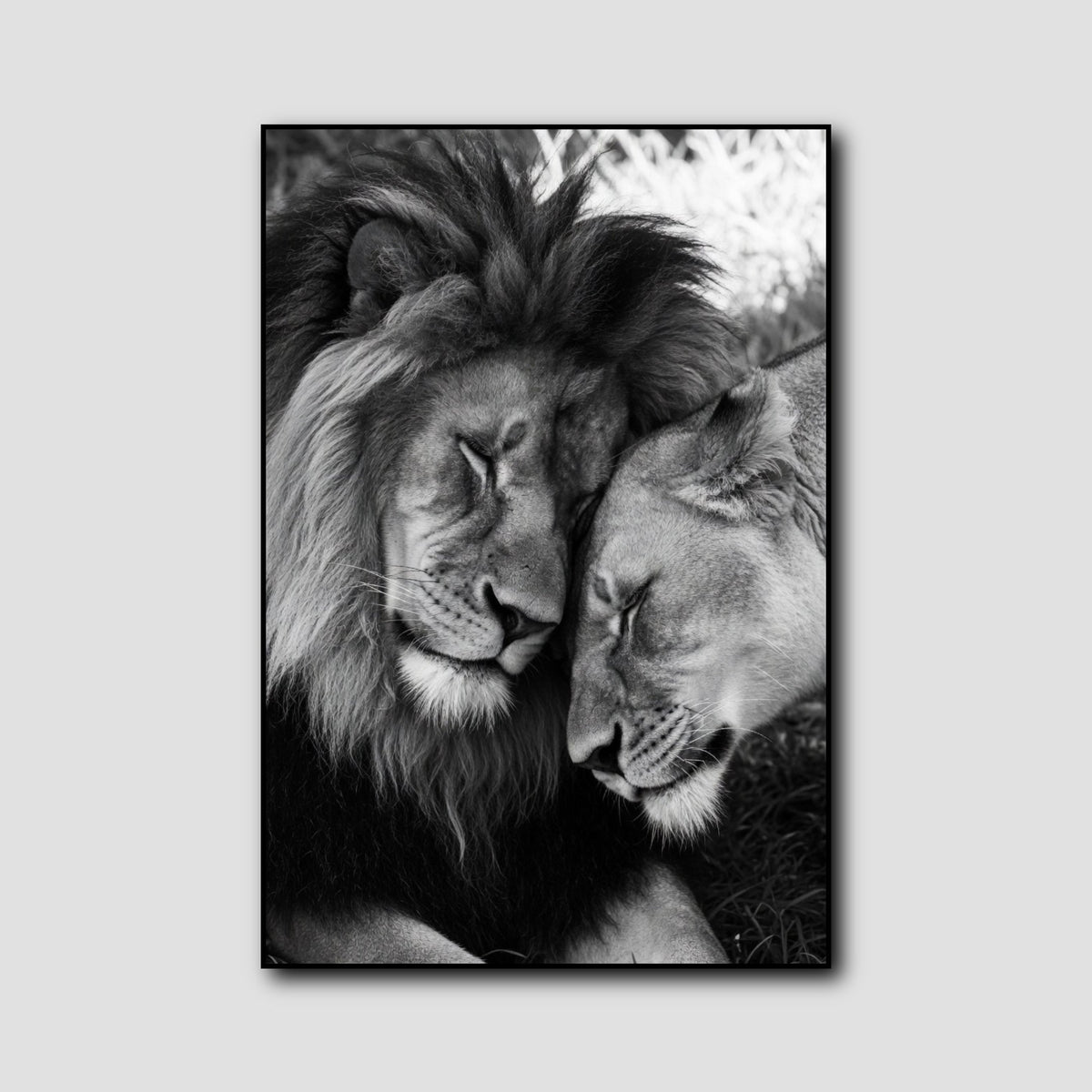 Tableau Lion et Lionne style 1